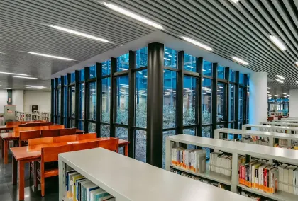 Casino Lion Wins Mobiele App